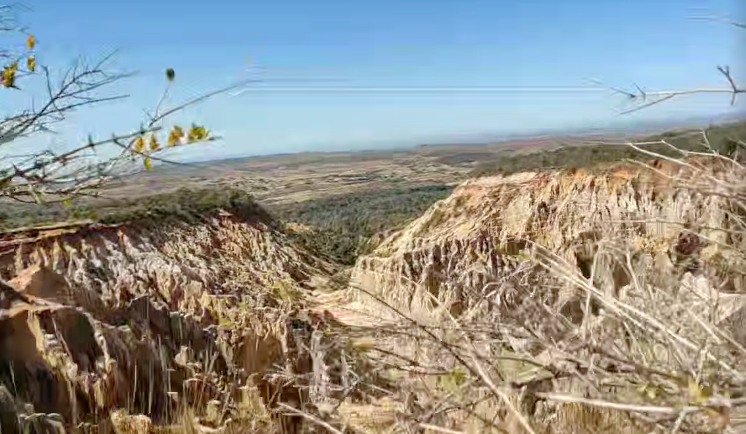 Ankarafantsika National Park